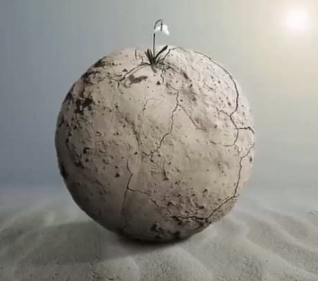 A small white flower growing from a cracked, dry sphere — a symbol of growth through struggle